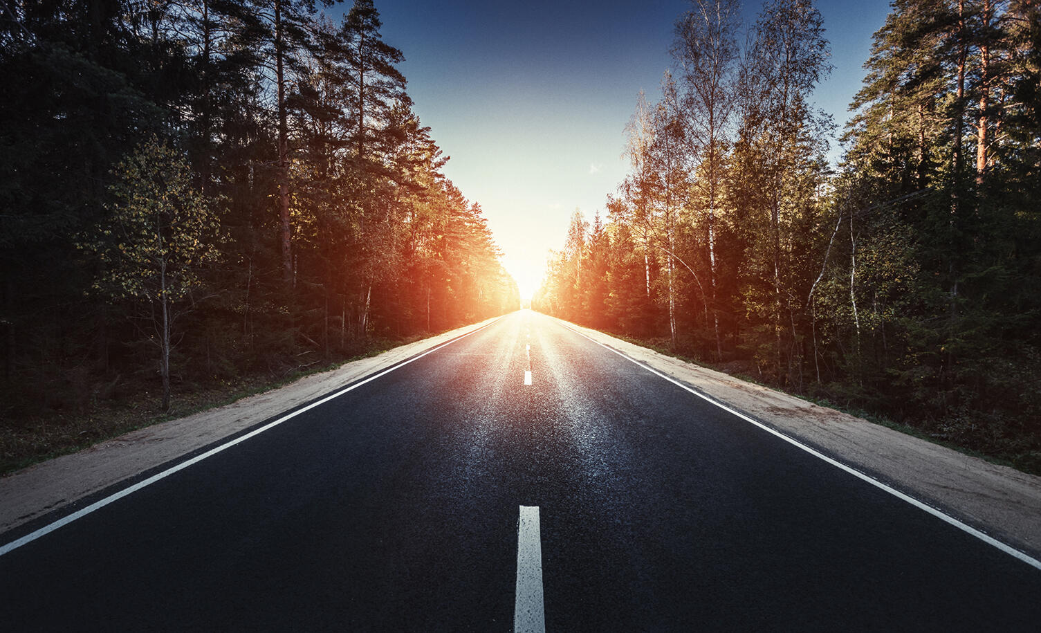 A long range perspective of a forest road leading toward a sunset.